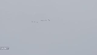 Бегущий: Фильм об Энтони Бурдене (2021)