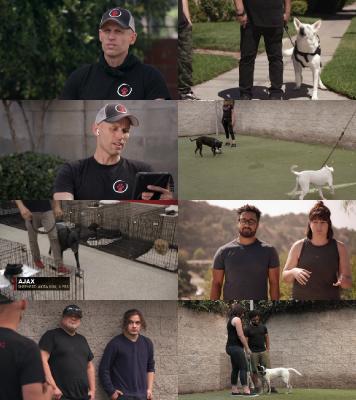 Dog Impossible S02E03 720p WEBRip x264-CBFM