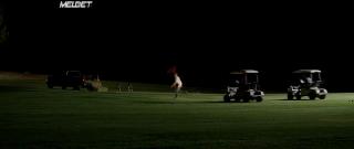 Рыжим тут не место (2017)