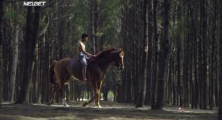 Мы, мёртвые (2017)