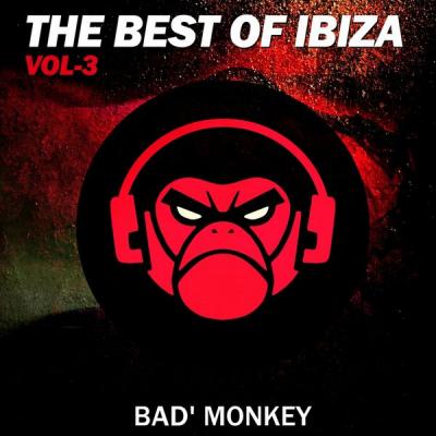 Various Artists - The Best of Ibiza Vol. 3 Compiled by Bad Monkey (2021)