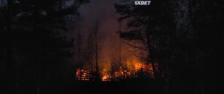 Естественный свет (2021)