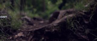 Когда исчезло солнце (2020)