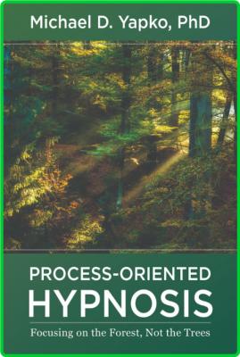 Process-Oriented Hypnosis - Focusing on the Forest, Not the Trees