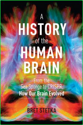 A History Of The Human Brain Bret Stetka