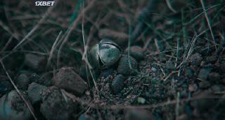 Легенда о Зелёном Рыцаре (2021)