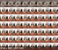 VRHush - Riley Reid - From The Vault: Riley Reid (UltraHD 4K/2700p/4.26 GB)