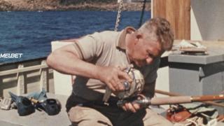 Игры с акулами (2021)