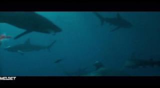 Игры с акулами (2021)