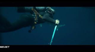 Игры с акулами (2021)