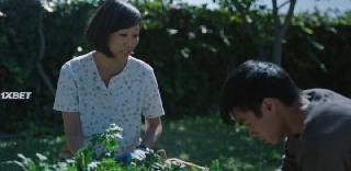 Бумажный тигр (2020)