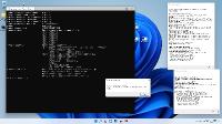 Windows 11 IP LTSC 22000.160 2in1 by DJAnnet (x64)