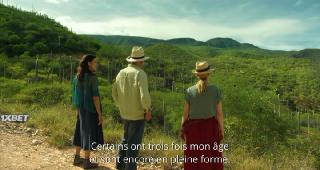 Апапачо. Нежное прикосновение души (2019)