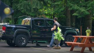 Лестница  (2021)