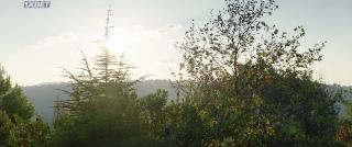 Милые лошадки (2020)