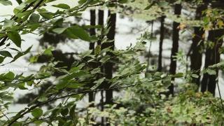 Исступлённые грешники (2017)