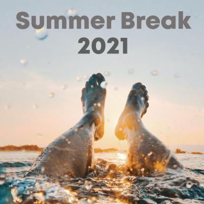 Various Artists - Summer Break 2021 (2021)
