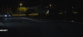 Жертвы Корпорации (2019)