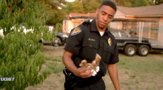 Амараика (2020)