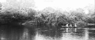 Сертания  (2018)