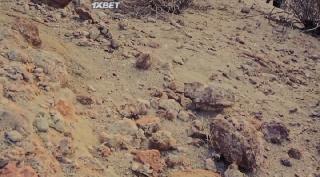 Изумрудная гонка (2020)