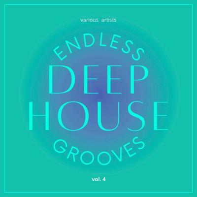 Various Artists - Endless Deep-House Grooves Vol. 4 (2021)