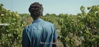 Новое Евангелие (2020)