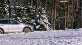 Милый, здесь так холодно (2021)