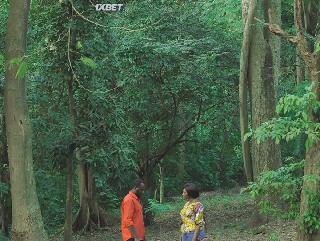 В Ибадане (2021)