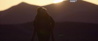 Последний день Земли (2020)