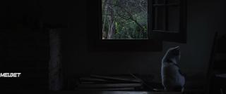 Прогони огни (2020)