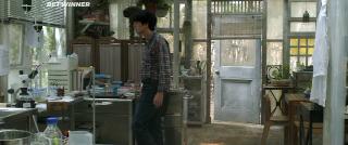 Стеклянный сад (2017)