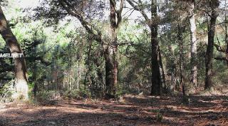 Восьмиугольник (2021)