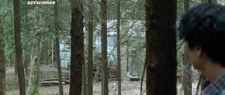 Стеклянный сад (2017)