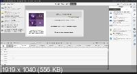Adobe Premiere Elements 2022 20.0.0.118 RePack by PooShock