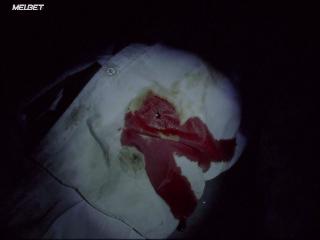 Протоки(2020)