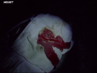 Протоки(2020)