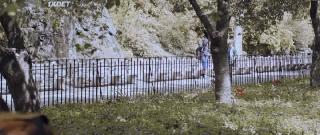 Страсть к румбе (2021)