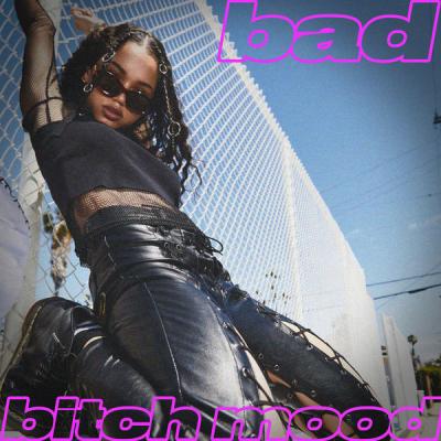 Various Artists - Bad Bitch Mood (2021)