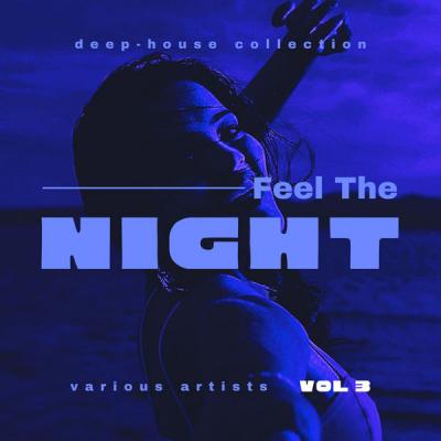 Various Artists - Feel The Night (Deep-House Collection) Vol. 3 (2021)