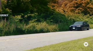 Поводья в руки (2021)